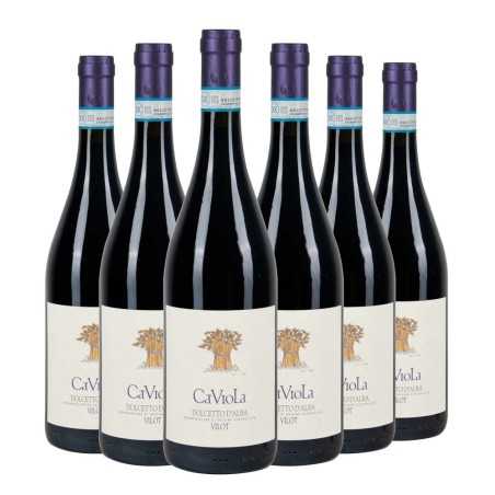 Dolcetto D'Alba DOC Vilot 2023 Box da 6 bottiglie