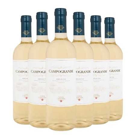 Orvieto Classico DOC Campogrande Santa Cristina 2024 Box da 6 bottiglie