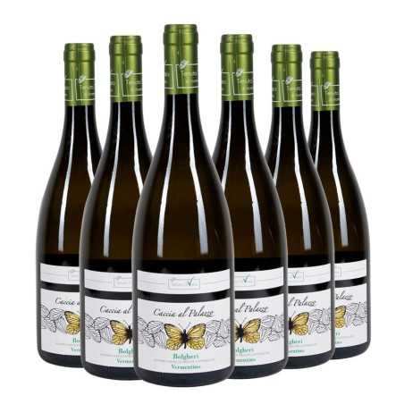 Bolgheri DOC Vermentino Caccia al Palazzo 2025 Box da 6 bottiglie