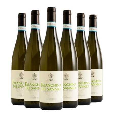 Falanghina del Sannio DOC 2023 Box da 6 bottiglie
