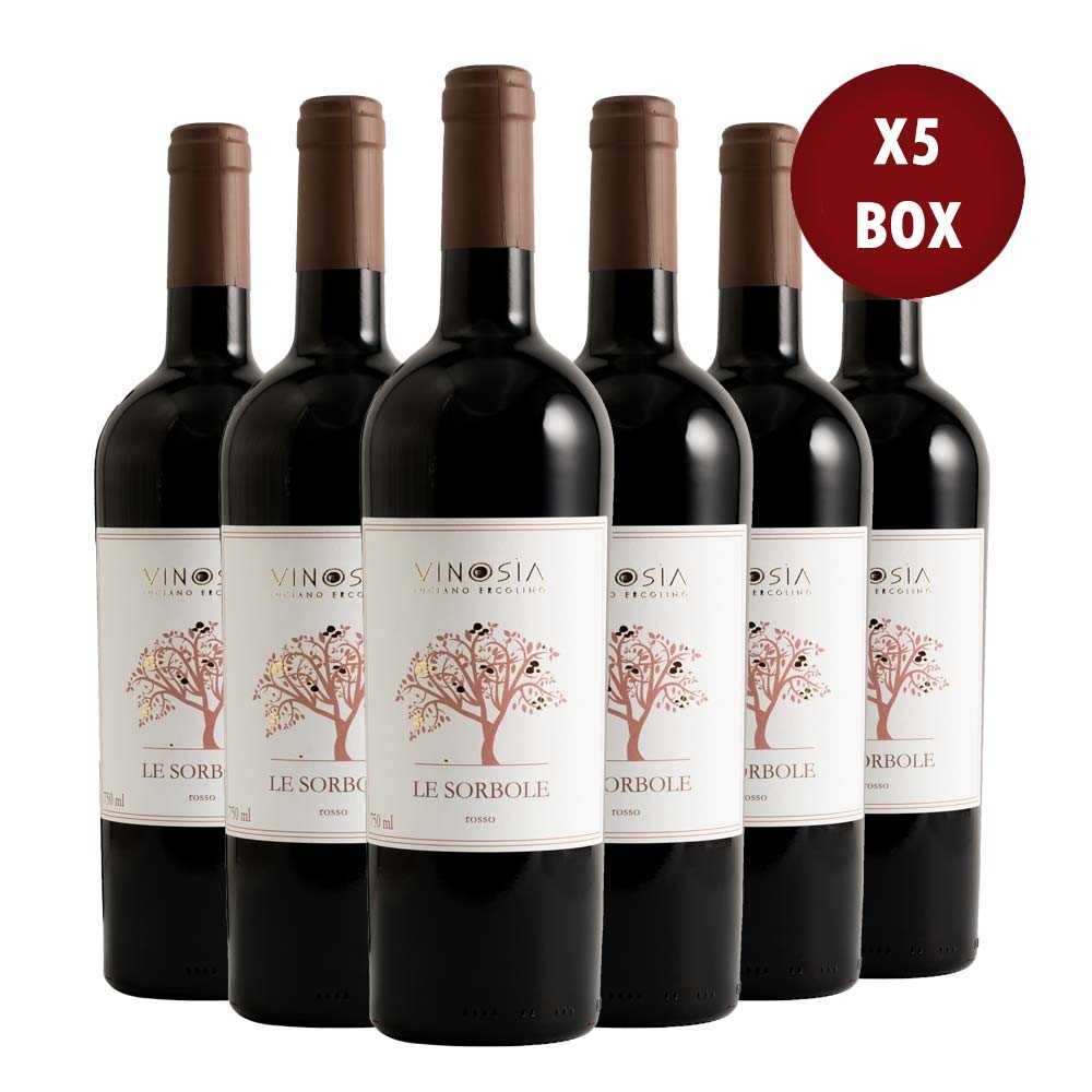 Campania IGT Aglianico Le Sorbole 2025 Box da 6 bottiglie
