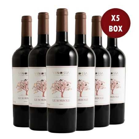 Campania IGT Aglianico Le Sorbole 2025 Box da 6 bottiglie