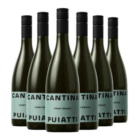 Friuli DOC Pinot Grigio 2025 Box da 6 bottiglie