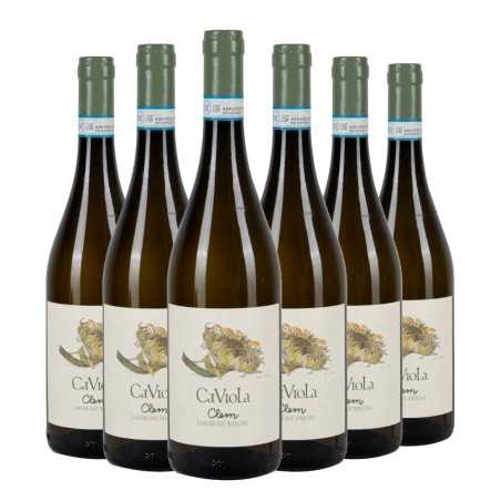 Langhe DOC Riesling Clem 2023 Box da 6 bottiglie