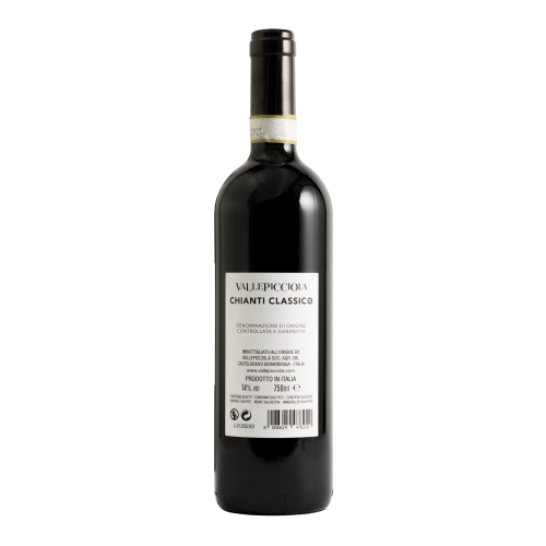 Chianti Classico 2019