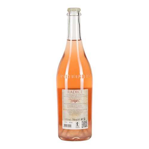 Lambrusco di Sorbara rosato frizzante Radice 2021