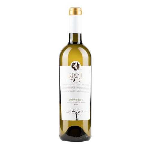 Pinot Grigio 2022 DOC Torre dei Vescovi