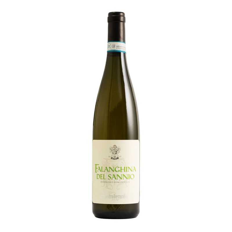 Falanghina del Sannio 2022