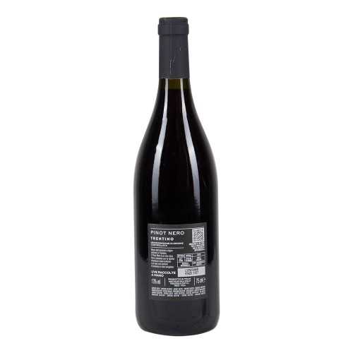 Pinot Nero Trentino DOC Bottega Vinai 2020