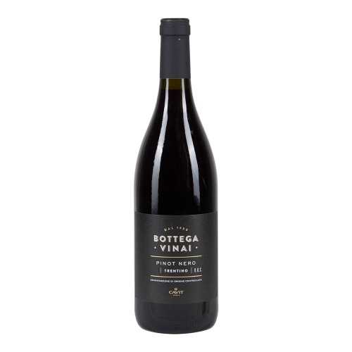 Pinot Nero Trentino DOC Bottega Vinai 2020