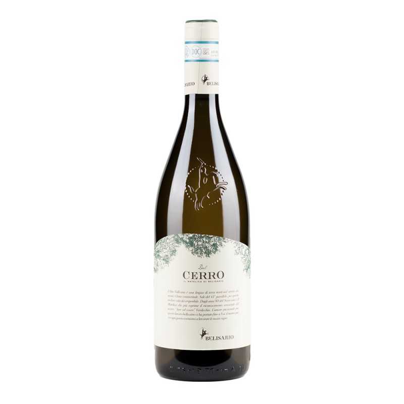 Verdicchio di Matelica Cerro 2022