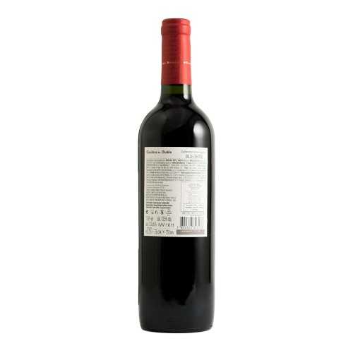 Cabernet Sauvignon Casillero del Diablo 2021