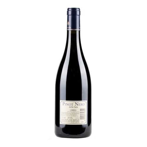 Pinot Nero della Sala 2021