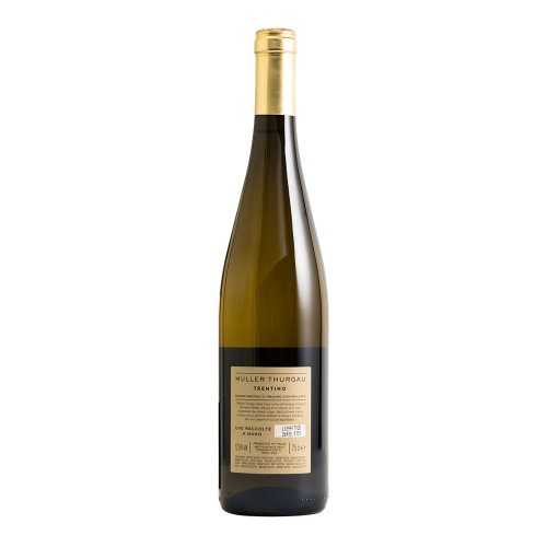 Trentino DOC Müller-Thurgau Bottega Vinai 2023