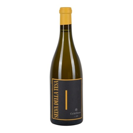 Sebino Chardonnay IGT Selva della Tesa 2019