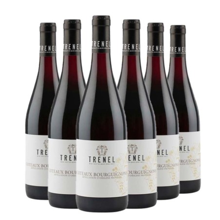 Coteaux Bourguignons 2023 Box da 6 bottiglie