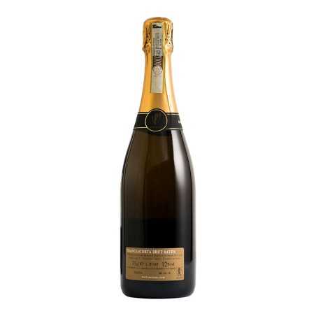 Franciacorta DOCG Brut Satèn 2020