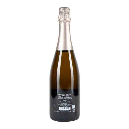 Spumante Metodo Classico Blanc de Blanc Brut