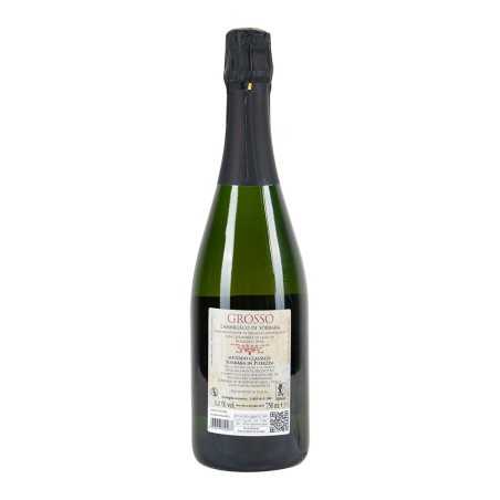 Lambrusco di Modena DOC Spumante Brut Metodo Classico Grosso 2021