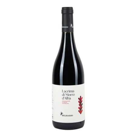Lacrima di Morro d’Alba DOC 2023